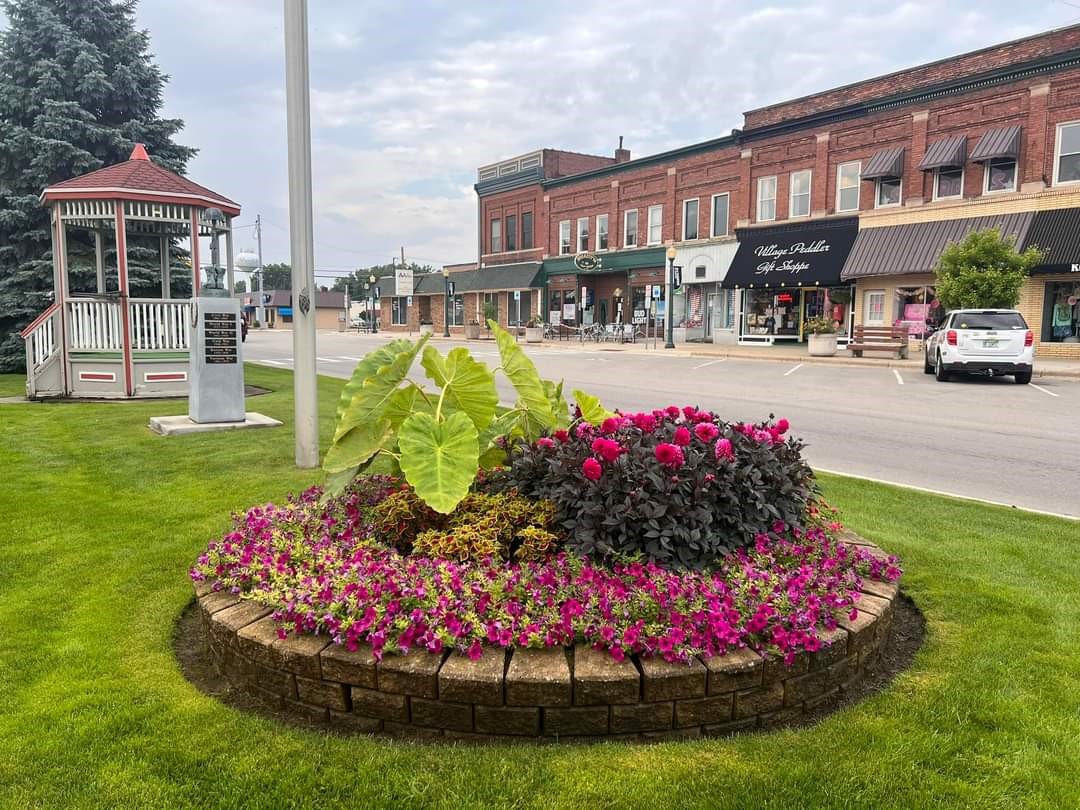 A vibrant flower bed with large green leaves in a small town, featuring a gazebo and a row of old-fashioned storefronts in the background.