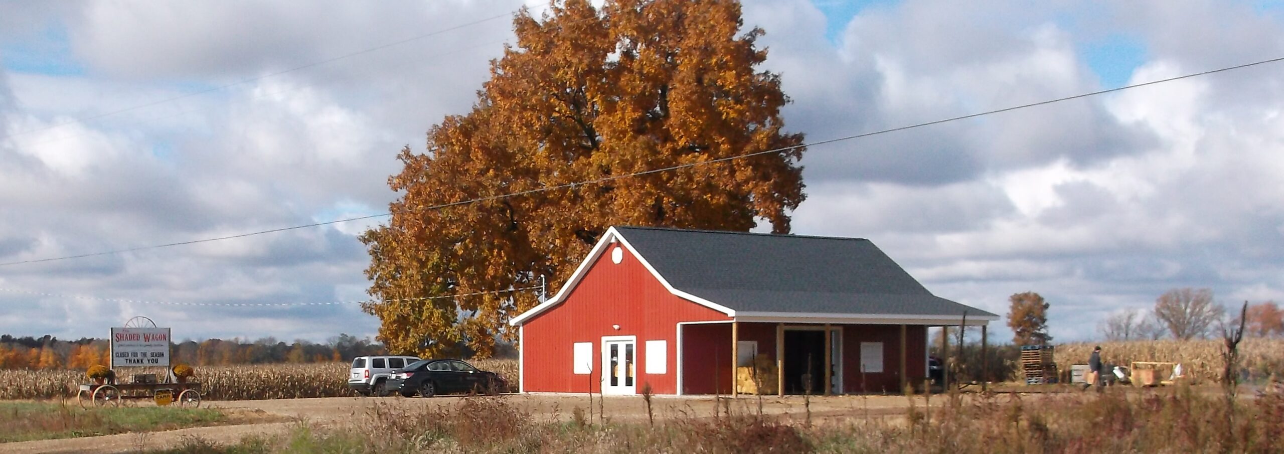 A vibrant autumn scene with a red barn, a large golden tree, and a sign advertising pumpkins and squash for sale, beside which stands a plumber examining the farm's irrigation system.