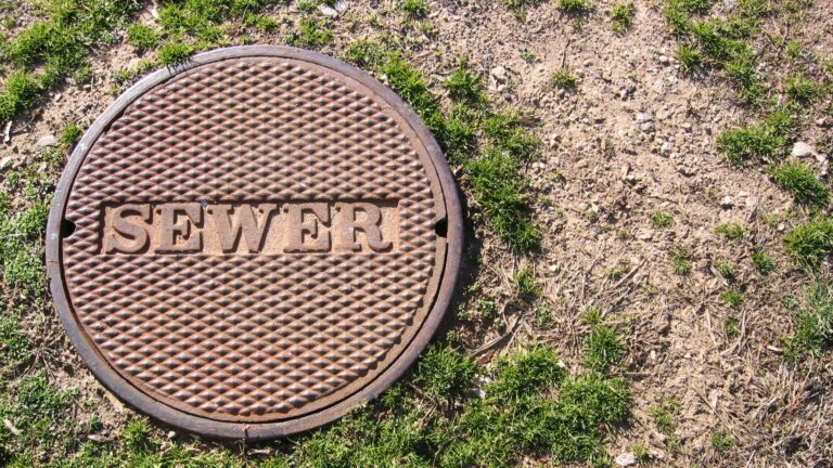 a round bronze sewer lid in the grass