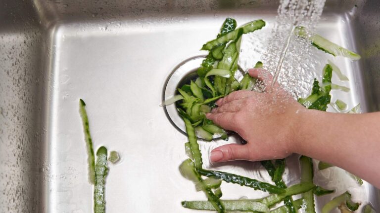 garbage disposal in michigan A hand pushes vegetable peels down a kitchen sink drain while water runs from the faucet.